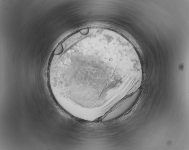 X0000116650853201001251155