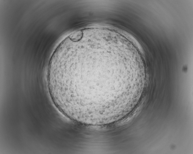 X0000116650855201001251155