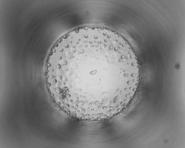 X0000116650856201001251155