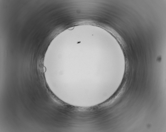 X0000116650857201001251155