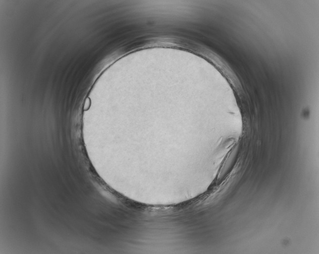 X0000116650858201001251155