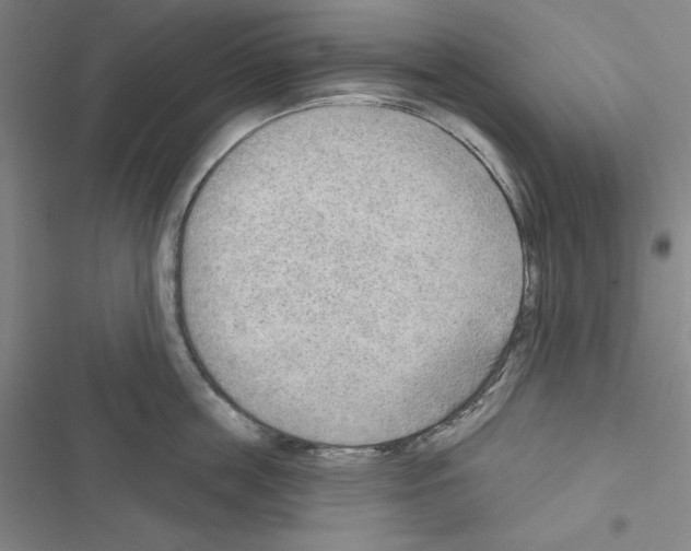 X0000116650859201001251155