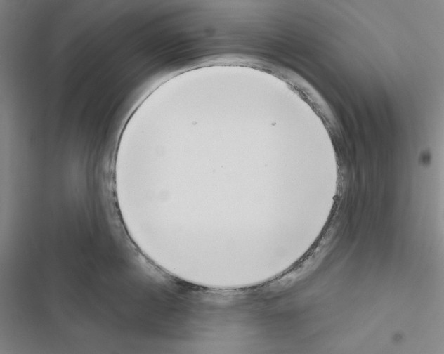 X0000116650860201001251155