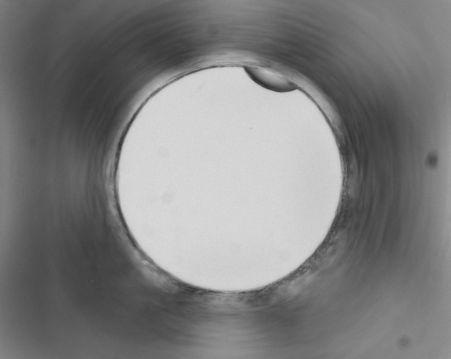X0000116650861201001251155