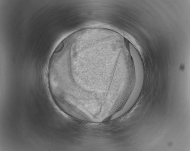 X0000116650863201001251155
