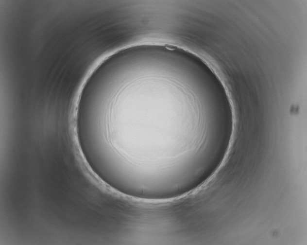 X0000116650864201001251155