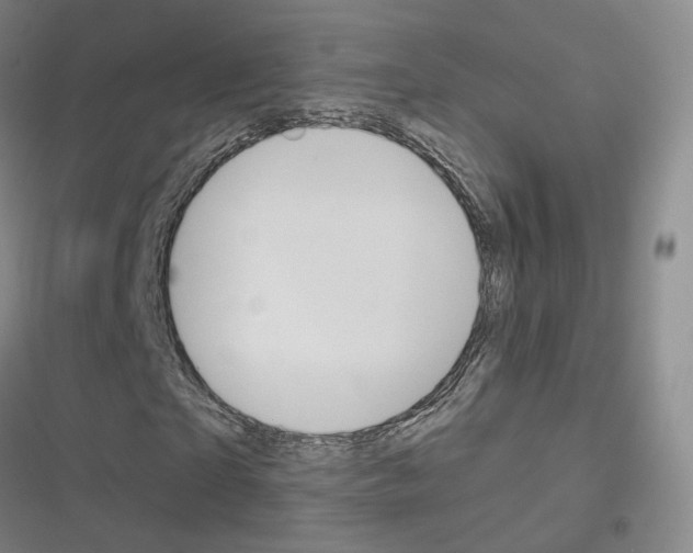 X0000116650865201001251155