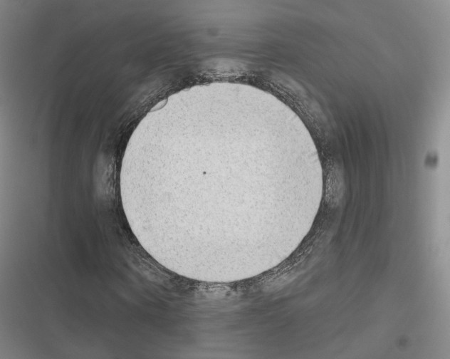 X0000116650866201001251155