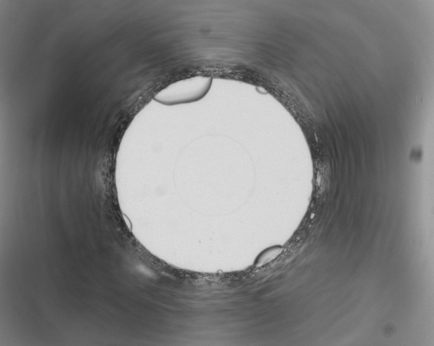 X0000116650867201001251155