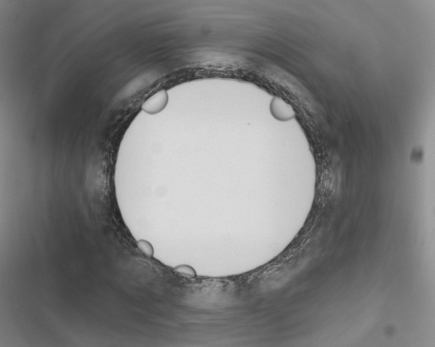 X0000116650869201001251155