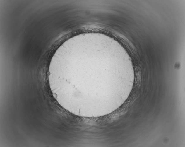 X0000116650870201001251155