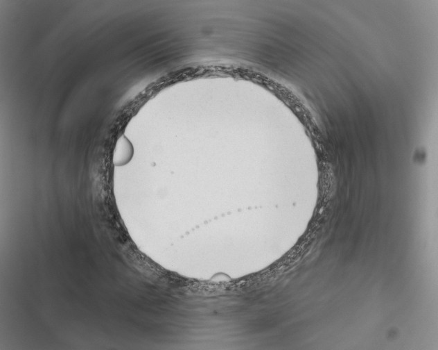 X0000116650871201001251155