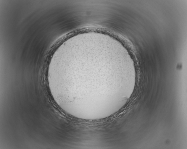 X0000116650872201001251155