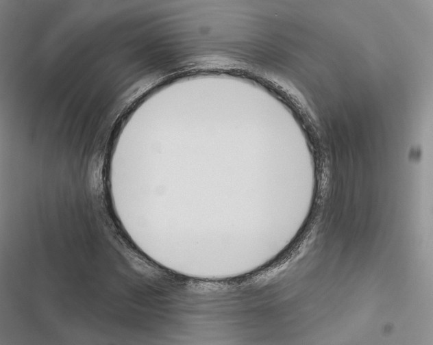 X0000116650873201001251155