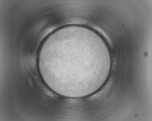 X0000116650874201001251155