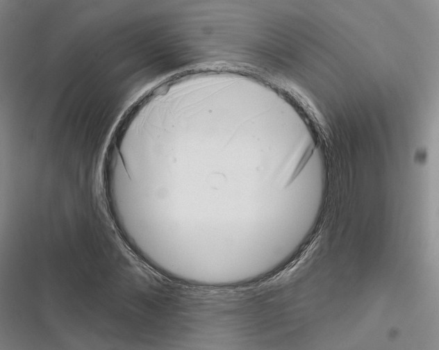 X0000116650876201001251155
