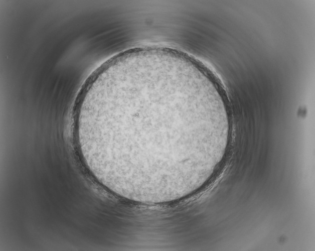 X0000116650879201001251155