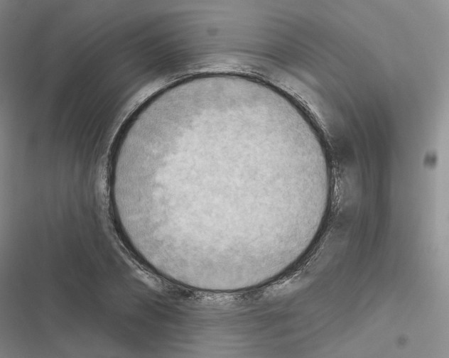 X0000116650882201001251154