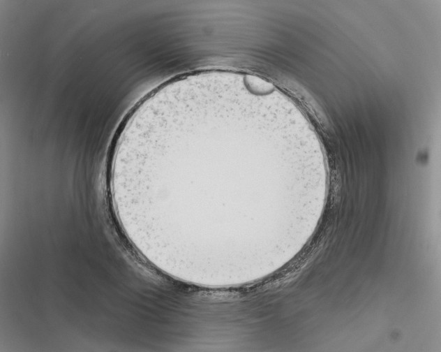 X0000116650884201001251154