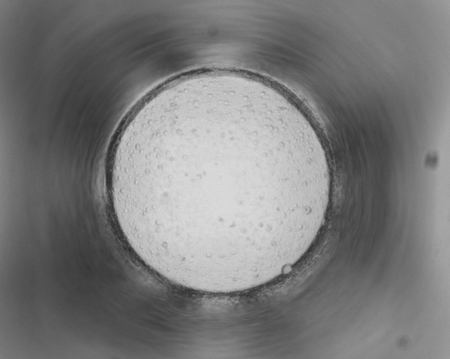 X0000116650887201001251154