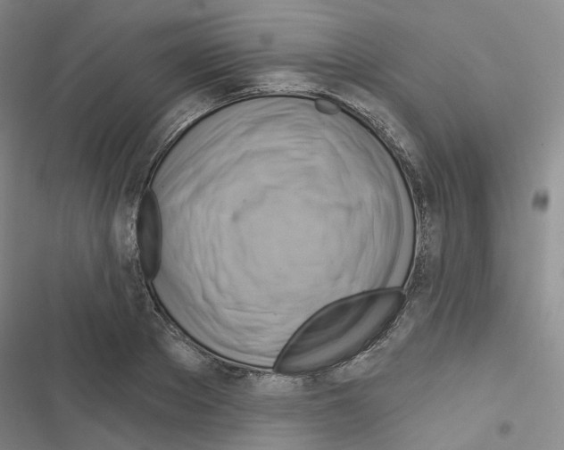 X0000116650889201001251154