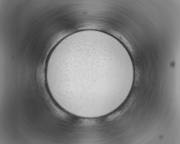 X0000116650890201001251154