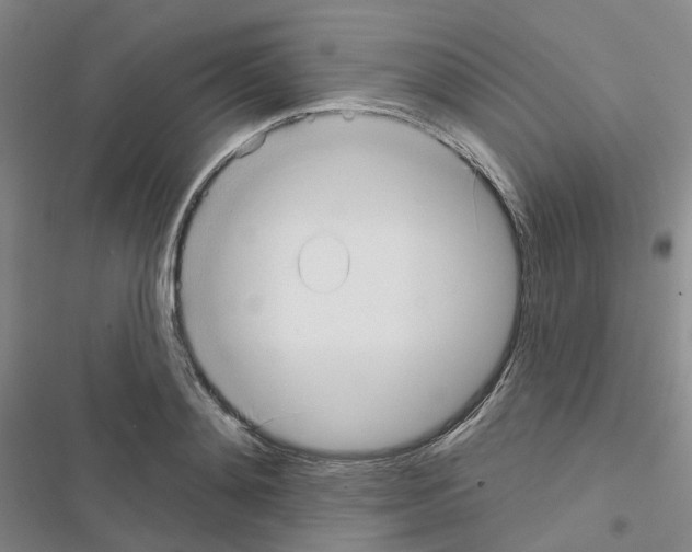 X0000116650892201001251154