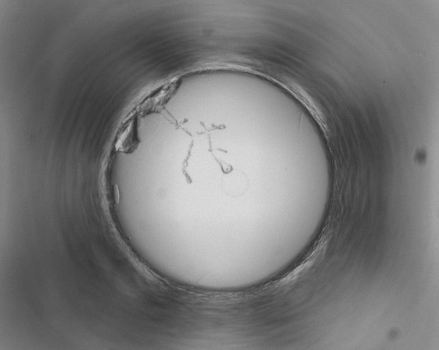X0000116650893201001251154