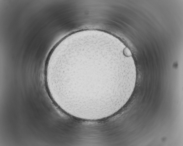 X0000116650894201001251154