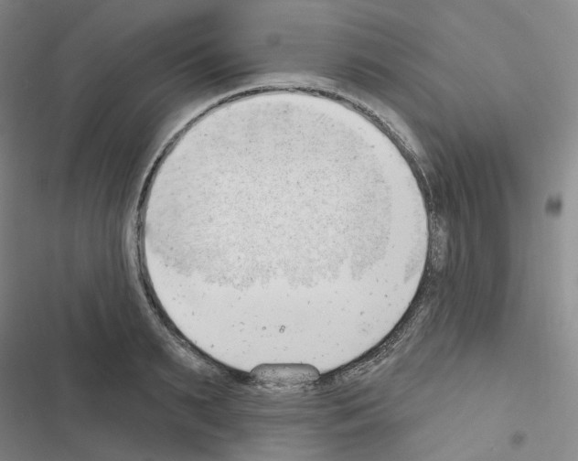 X0000116650895201001251154