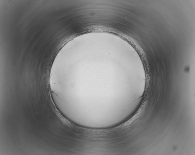 X0000116650897201001251154