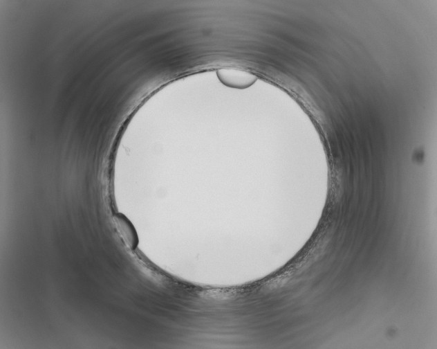 X0000116650898201001251154