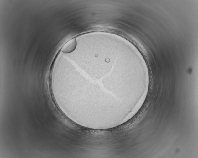 X0000116650899201001251154