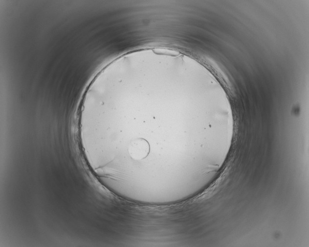 X0000116650900201001251154