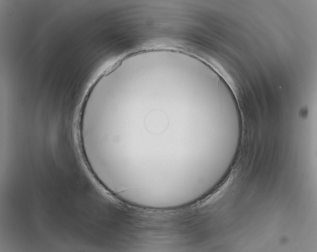 X0000116650901201001251154