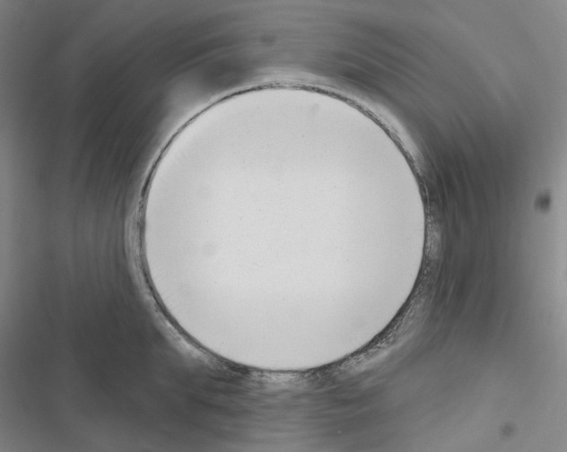 X0000116650903201001251154