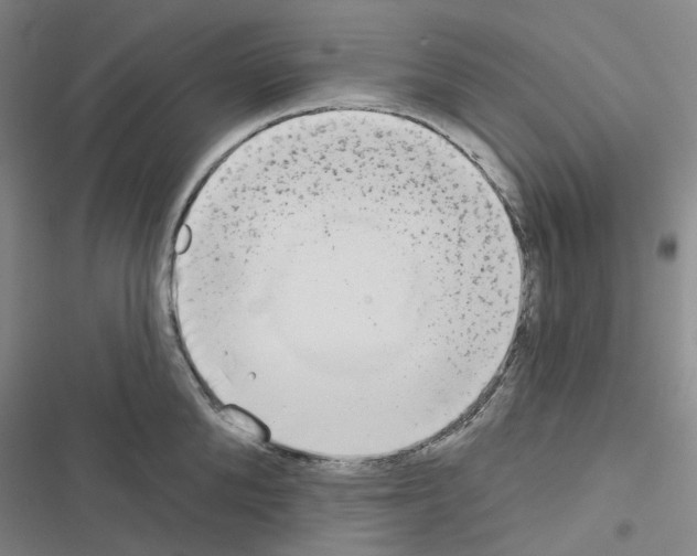 X0000116650904201001251154