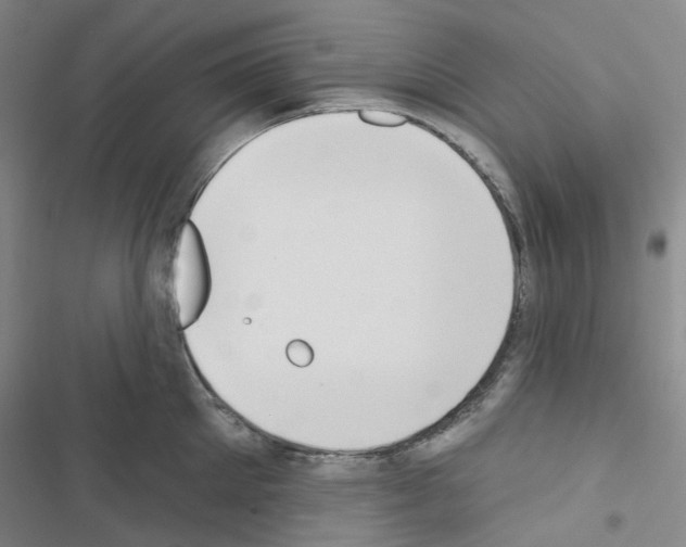 X0000116650905201001251154
