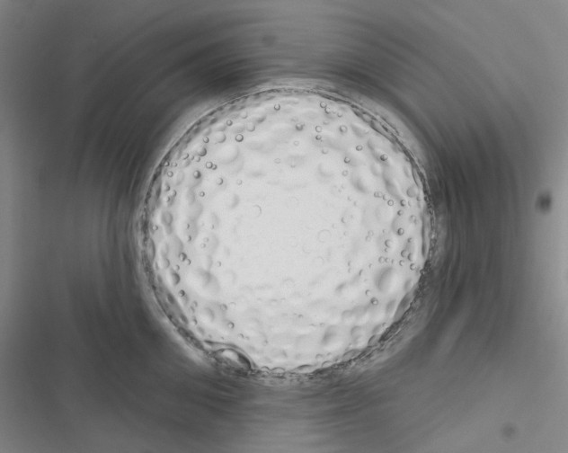 X0000116650906201001251154