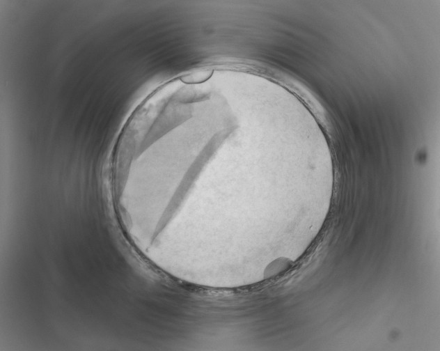 X0000116650907201001251154