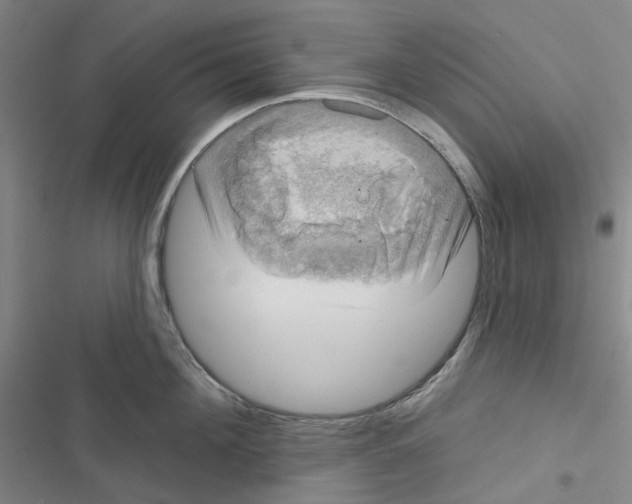 X0000116650908201001251154