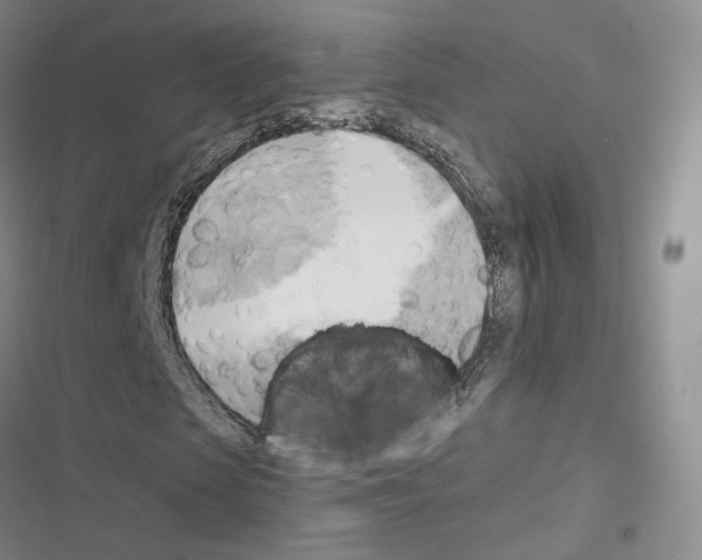 X0000116650913201001251153