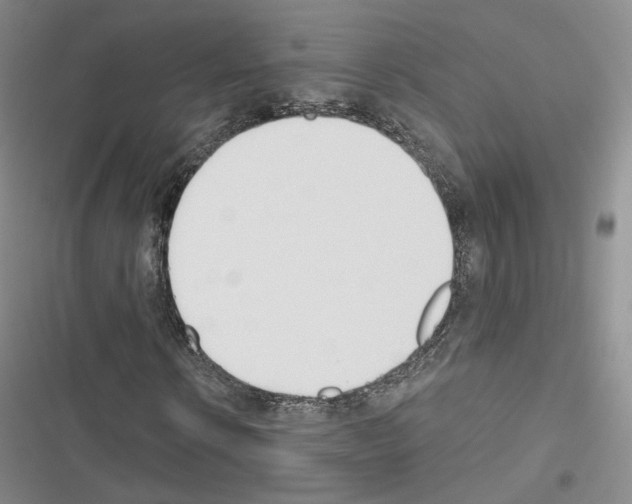 X0000116650914201001251153
