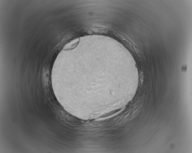 X0000116650915201001251153