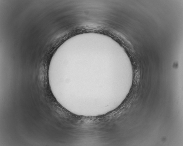 X0000116650917201001251153