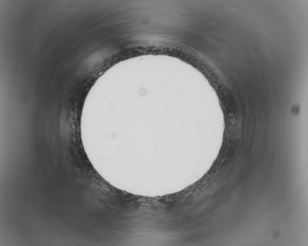 X0000116650918201001251153