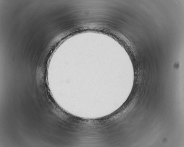 X0000116650922201001251154