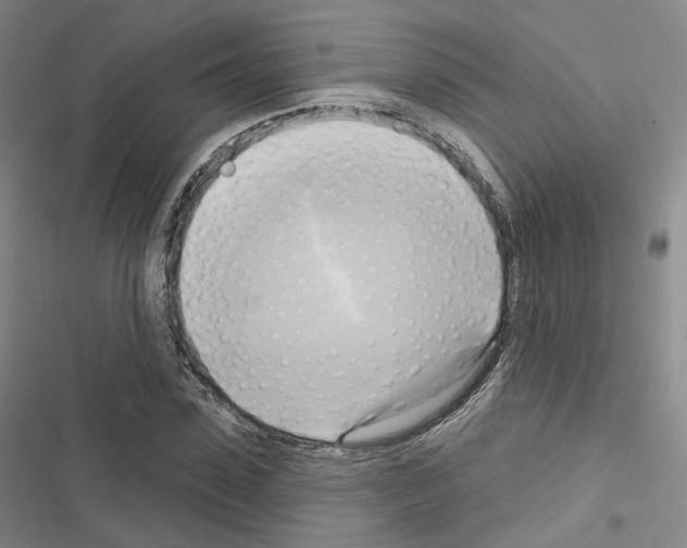 X0000116650923201001251154