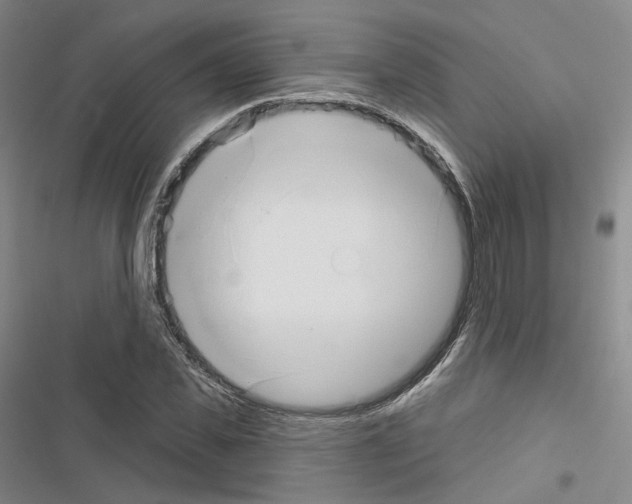 X0000116650925201001251154