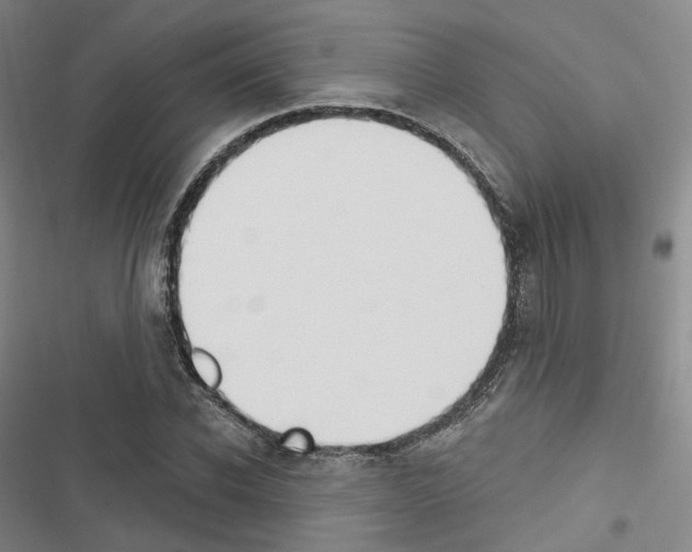 X0000116650926201001251154